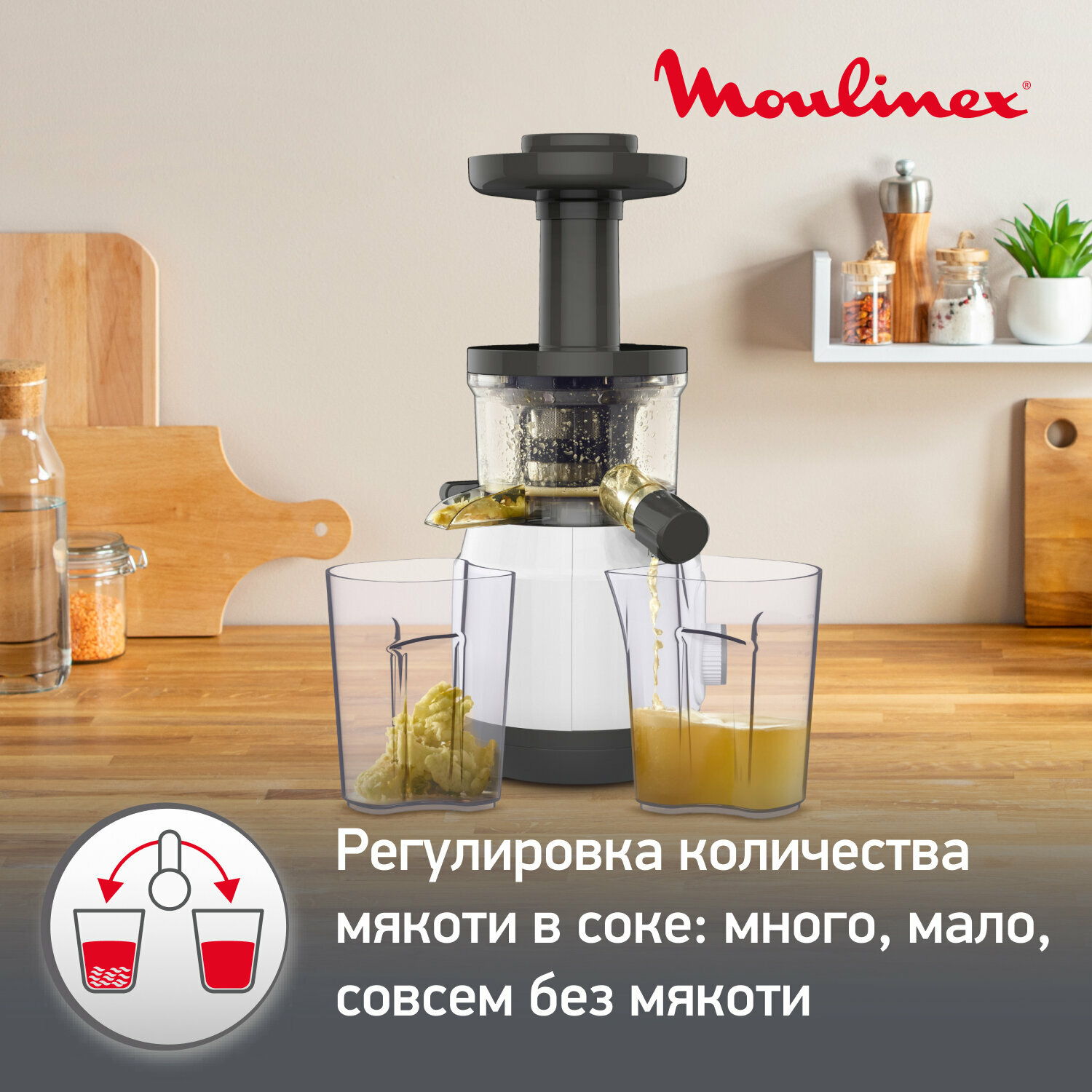 Соковыжималка шнековая Moulinex ZU150110