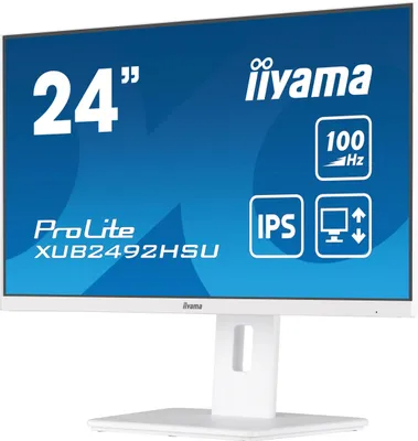 Монитор Iiyama ProLite XUB2492HSU-W6, белый
