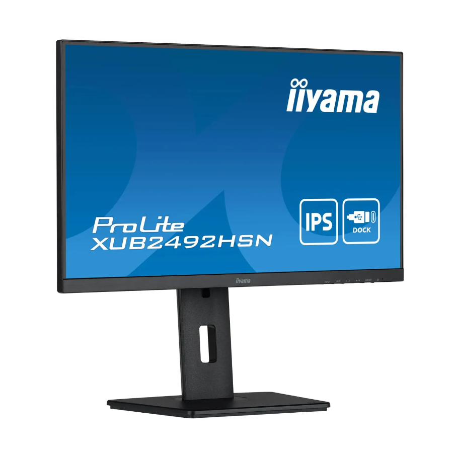 Монитор Iiyama ProLite XUB2492HSN-B5, черный