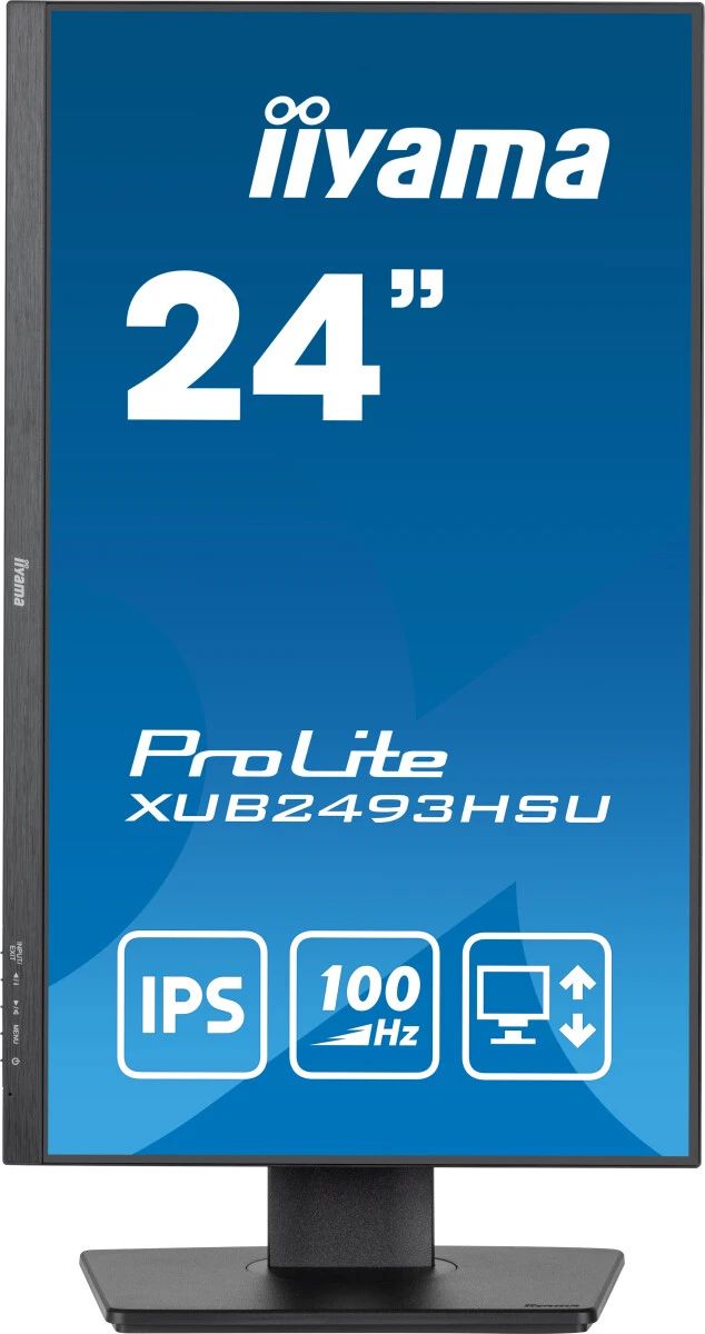 Монитор Iiyama ProLite XUB2493HSU-B7, черный